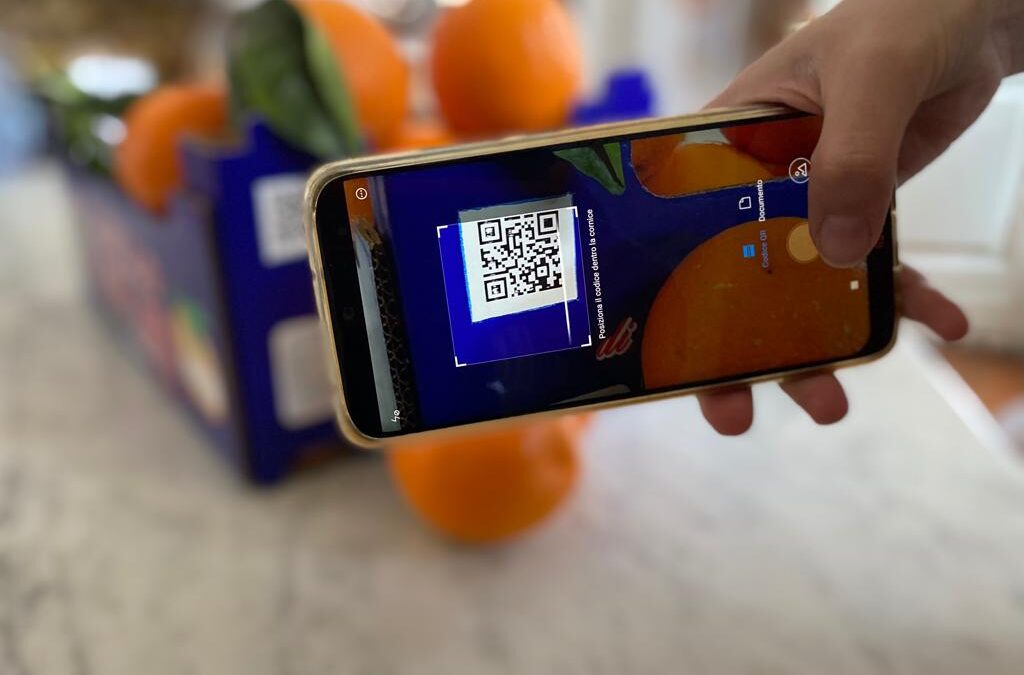 AGRICOLTURA/Digitale: stop alle frodi, dal coltivatore al produttore di bibite, dieci aziende agrumicole siciliane sperimentano la tecnologia Blockchain. Argentati: “Un passaporto per il futuro che il Distretto Agrumi di Sicilia consegna ai suoi soci”