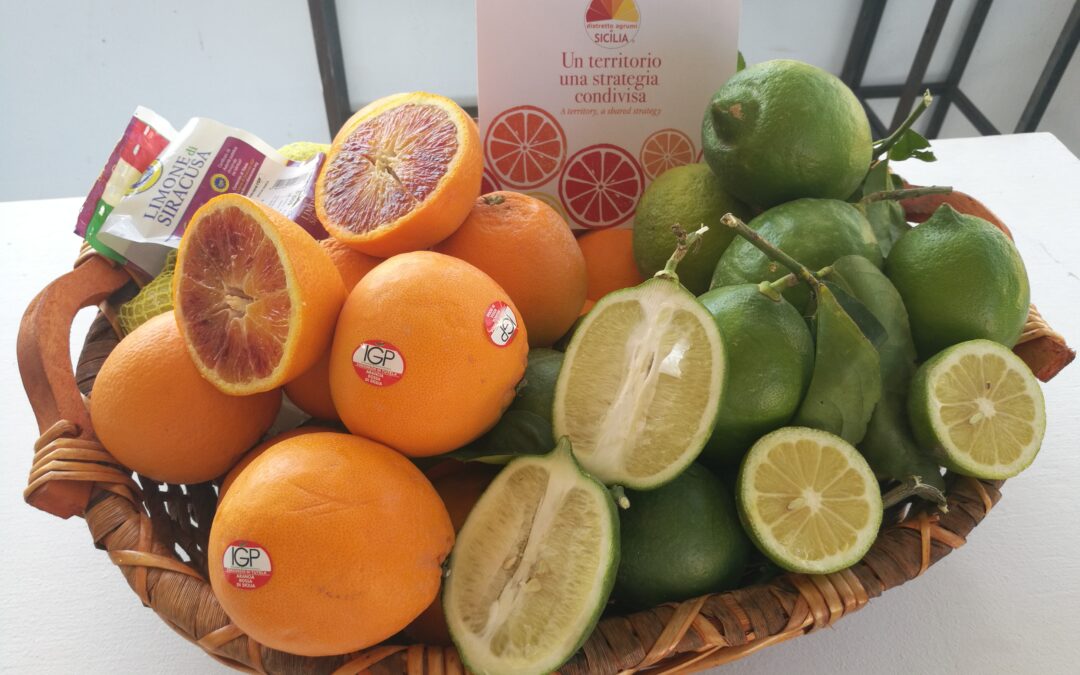 Il Distretto produttivo Agrumi di Sicilia sarà presente alla fiera internazionale Fruit Logistica e porta con sé una “Sicilia magica