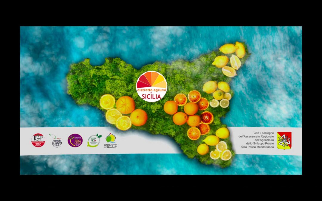 “Sicilia, un’isola magica” – Guarda il video della nuova campagna di comunicazione sulla valorizzazione delle produzioni agrumicole siciliane IGP e DOP