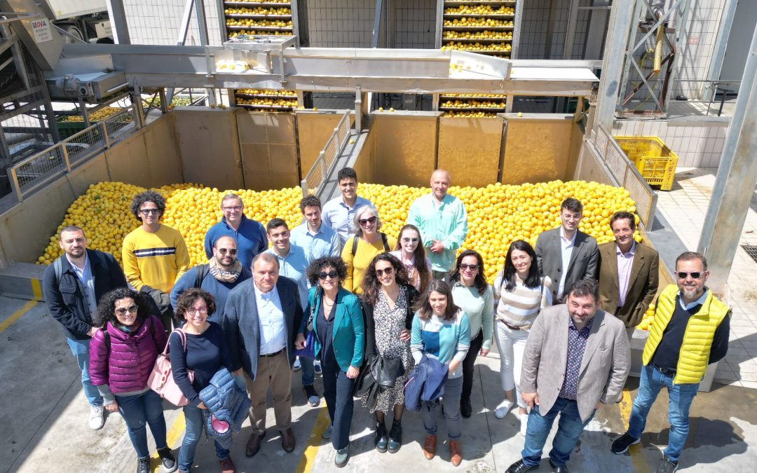 Progetto TRICK: 30 partner da tutta Europa.  Il Distretto Agrumi di Sicilia unico nel settore agroalimentare