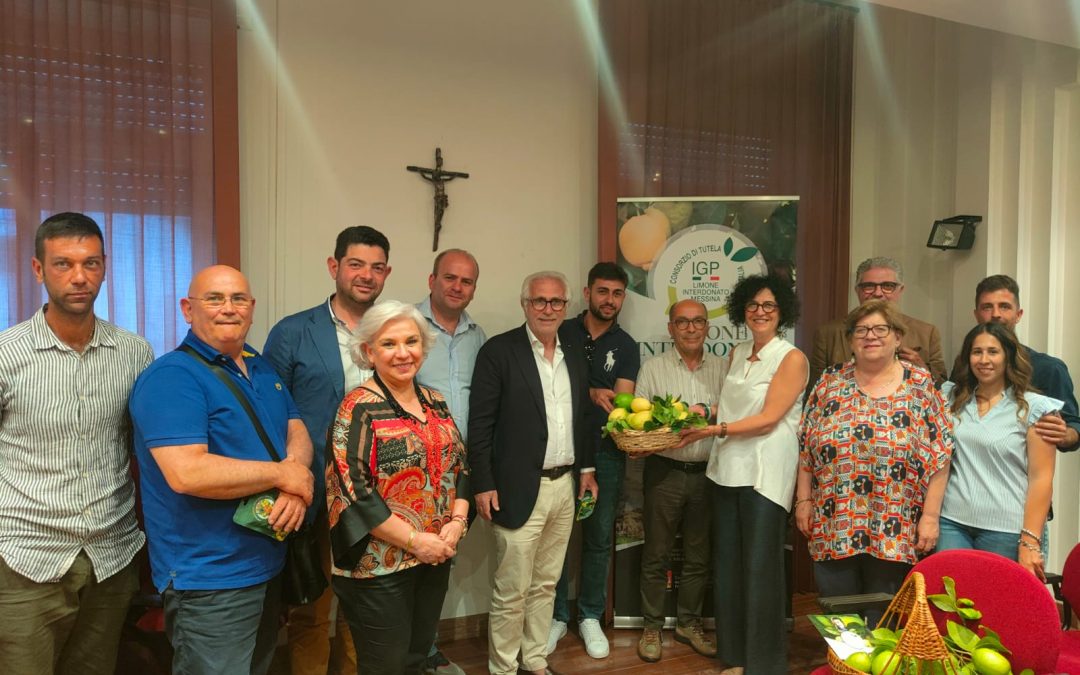 Distretto Produttivo Agrumi di Sicilia, secondo evento del Progetto DOP-IGP “L’importanza dell’aggregazione certificata e delle azioni di sistema nel confronto con i mercati”
