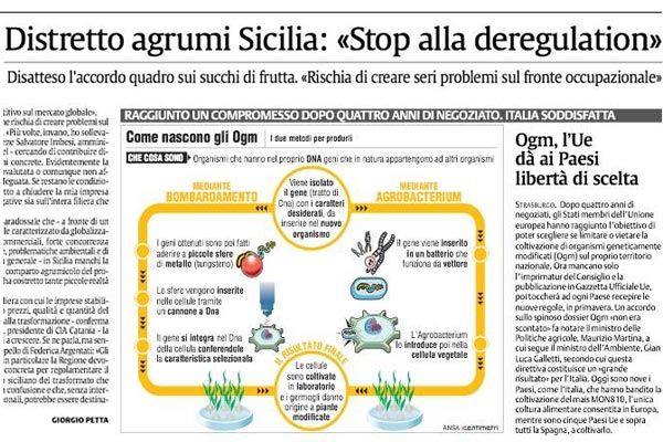 Accordo succhi di Frutta