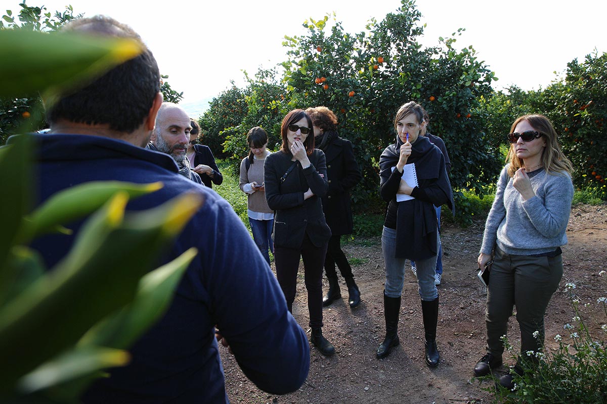 29/01/2018 - Discovering Sicilian citrus fruits - Social Farming 2.0 project - Catania