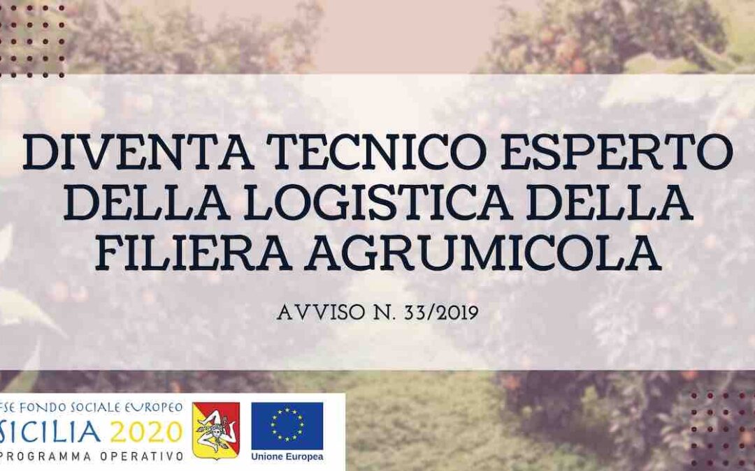 Corso per diventare Tecnico esperto della logistica della filiera agrumicola