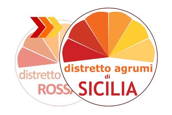 Distretto Agrumi di Sicilia