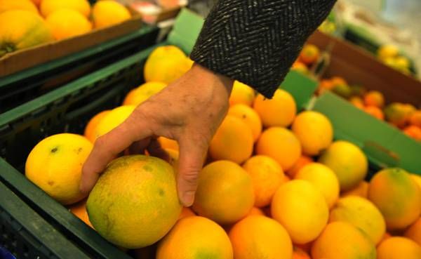 The PDO and PGI citrus fruits of Sicily at the fruits & vegetables market of Brescia