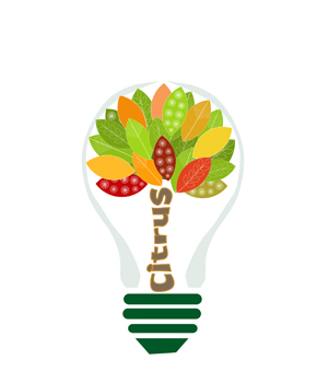  from citrus fruits to energy