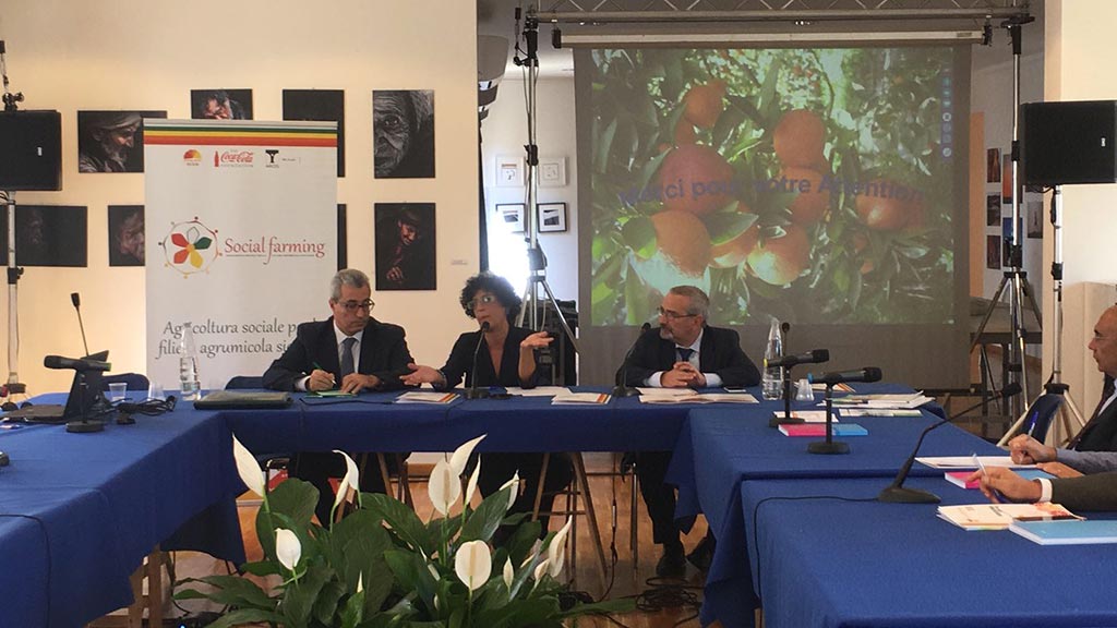 06/10/2018 - Social farming seminar "Emerging countries, competitors in the Sicilian citrus industry" - Mazara del Vallo (TP)