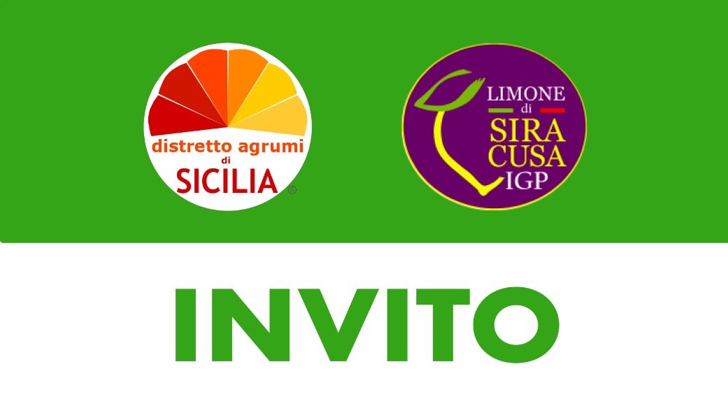 Evento – L’importanza dell’aggregazione certificata e delle azioni di sistema nel confronto con i mercati