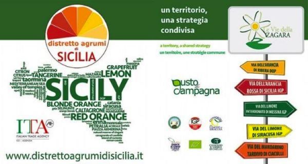 Tredici giornalisti internazionali, esperti in tematiche di lifestyle, food ed export agroalimentare, hanno partecipato in Sicilia a 'Le Vie della Zagara'